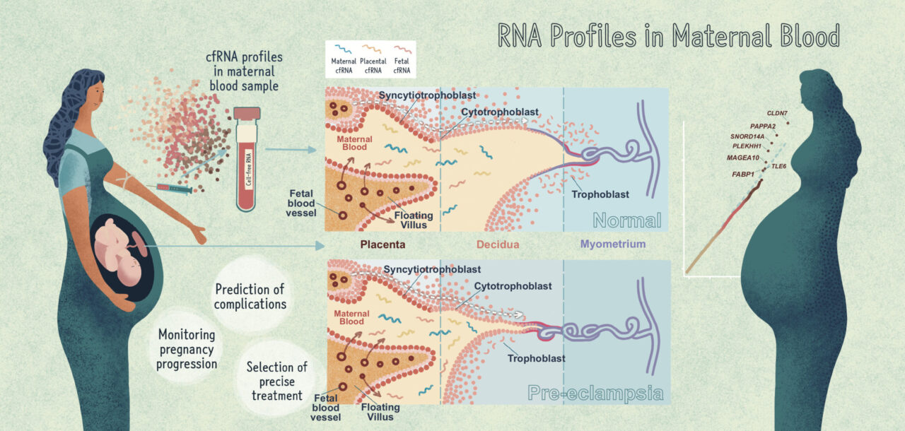 Copyright: (Mol. Cells 2022; 45(5): 291-293)