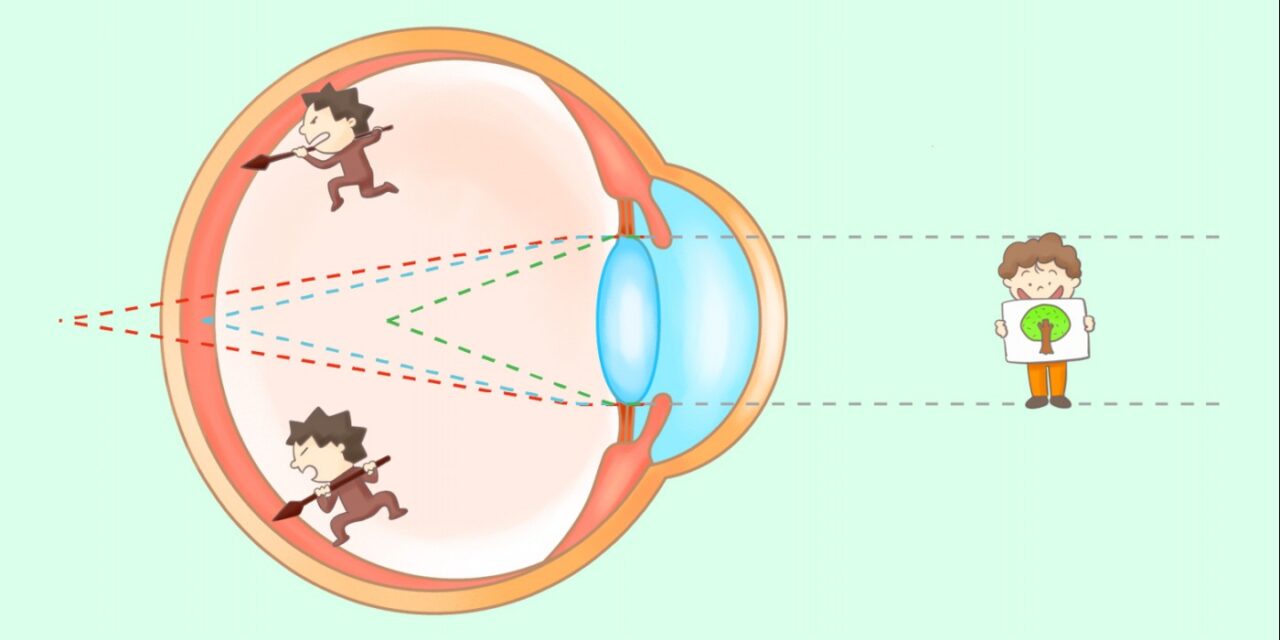 메디컬 일러스트