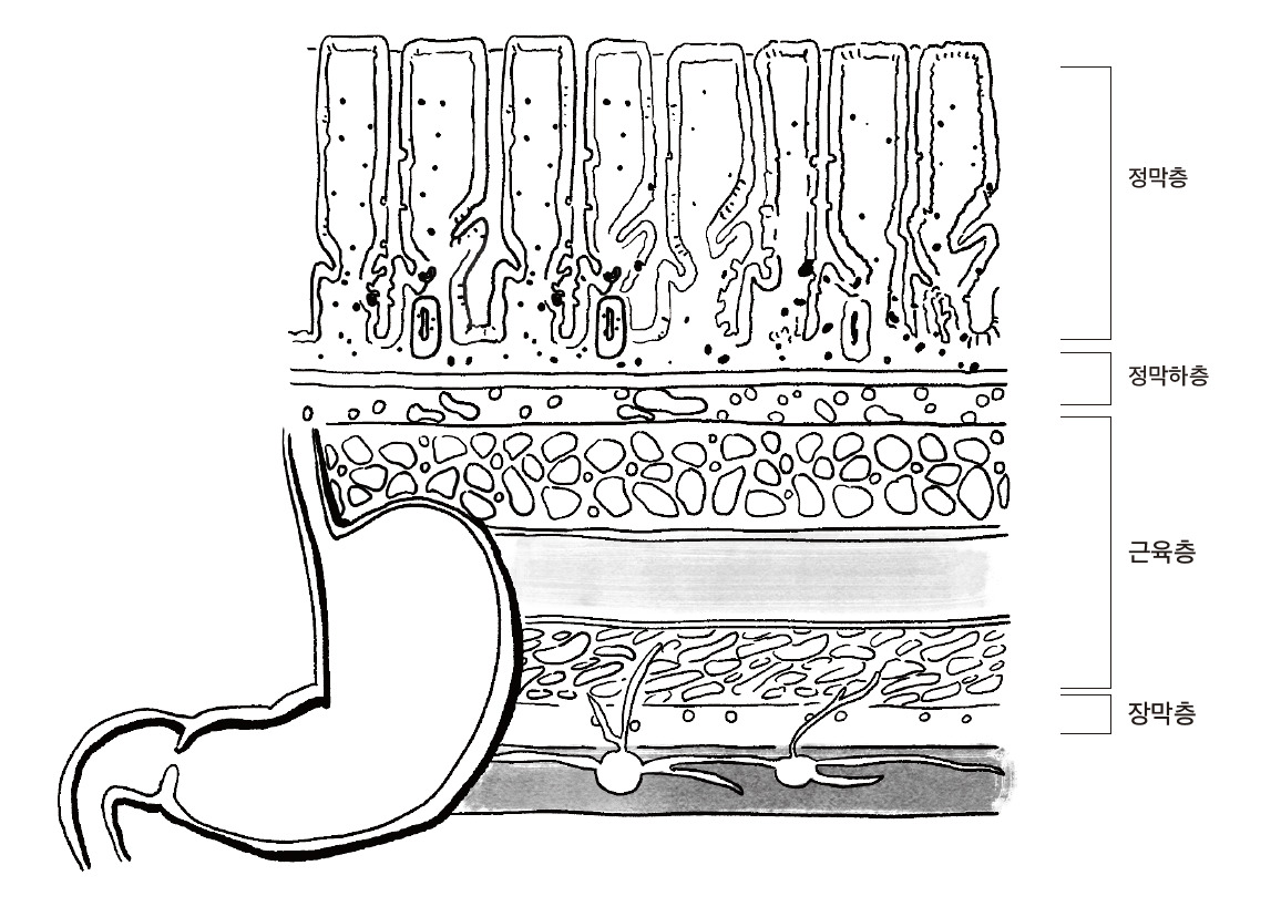 메디컬 일러스트